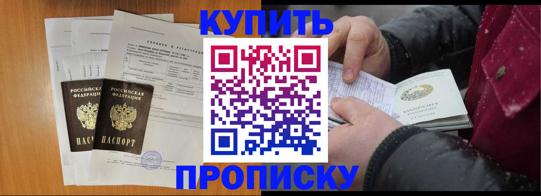 купить прописку в Бабаево